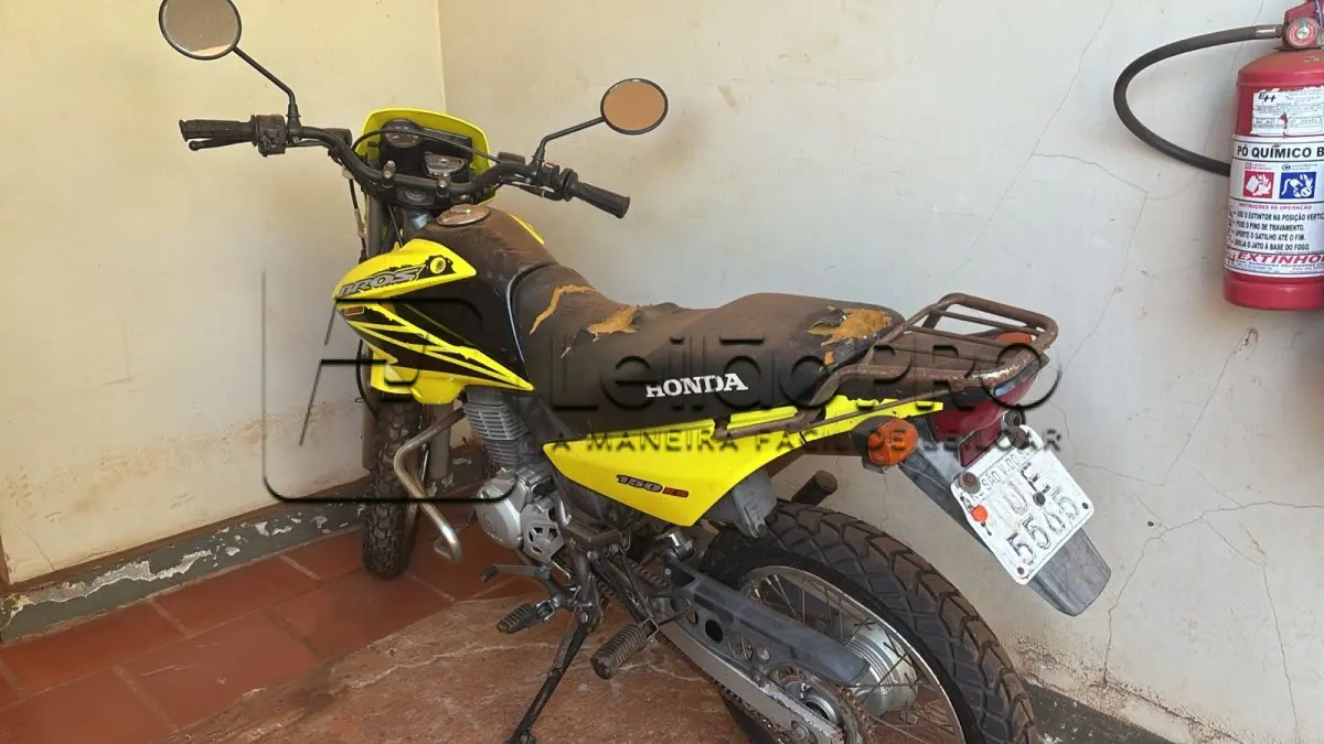 LOTE 003