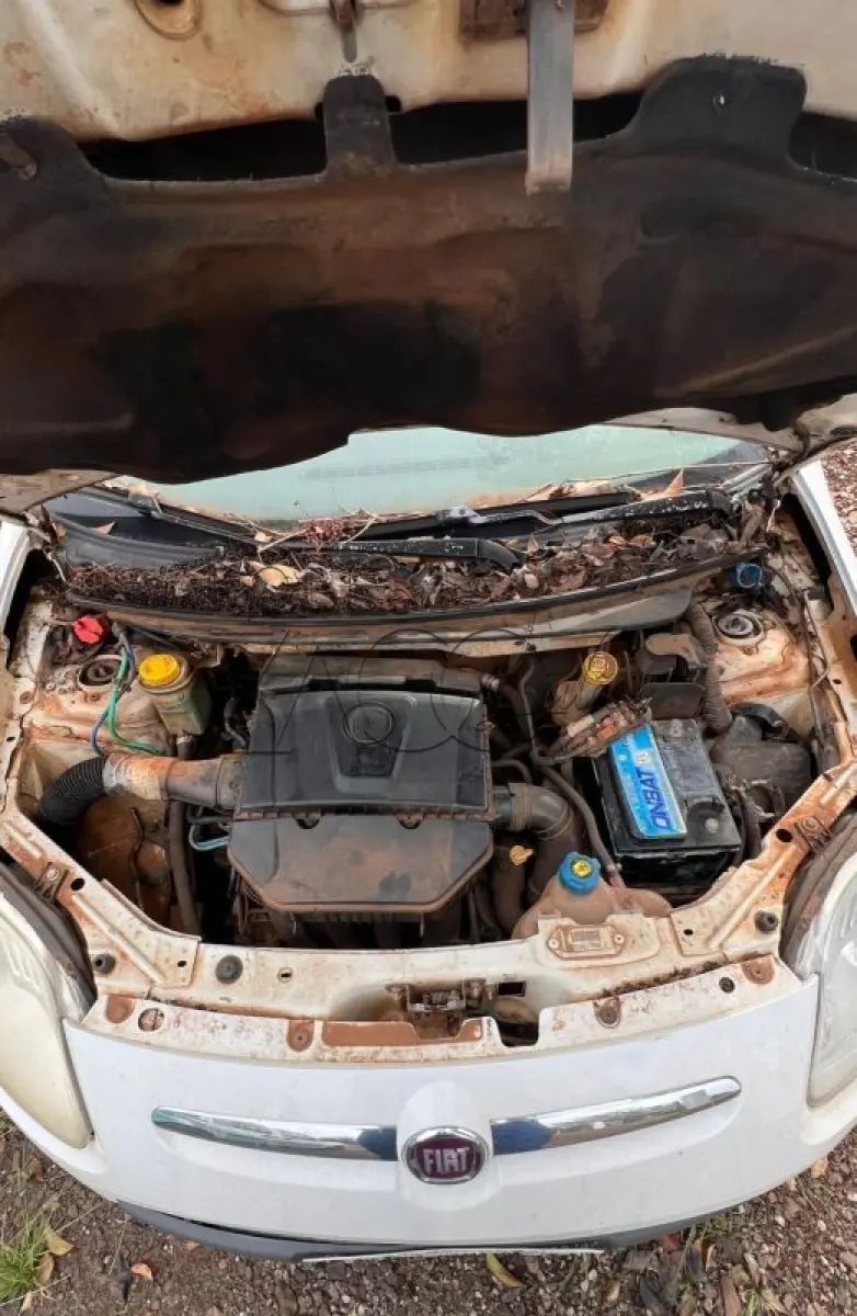 LOTE 001 - Fiat Palio Essence 1.6 - Ano/Modelo: 2014/2014, Prata