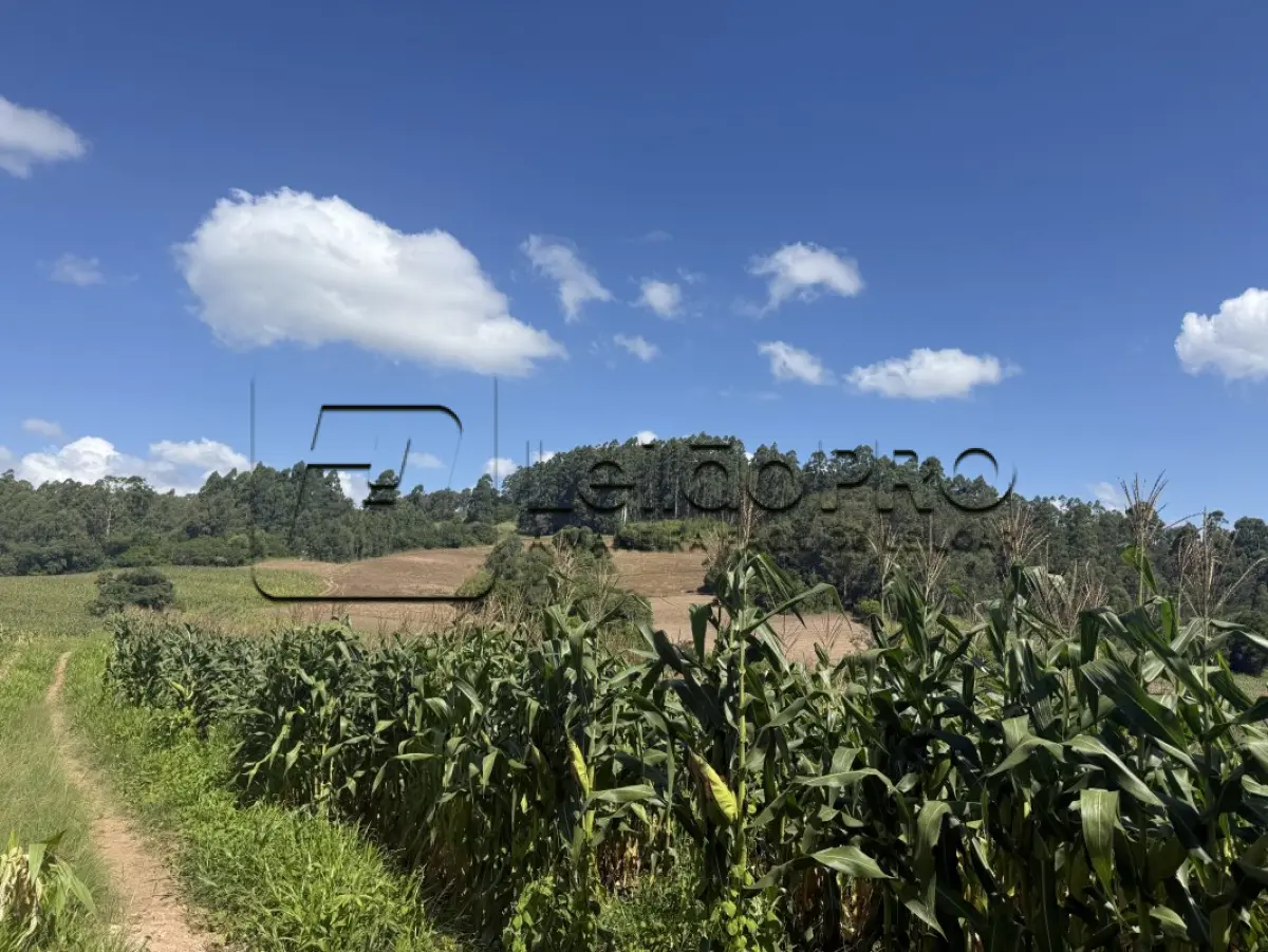 LOTE 001 - Uma fração de terras, localizado na Bandeirinha (7º distrito de Camaquã), com a área superficial de 110.547,00m2