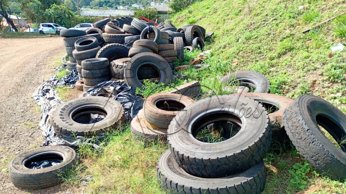 LOTE 010 - Pneus – diversas bitolas.