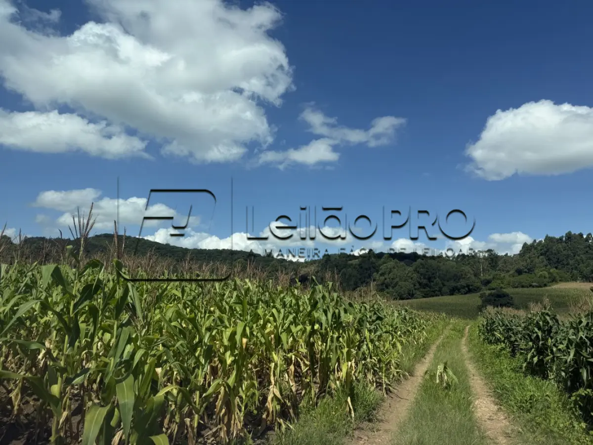 LOTE 001 - Uma fração de terras, localizado na Bandeirinha (7º distrito de Camaquã), com a área superficial de 110.547,00m2