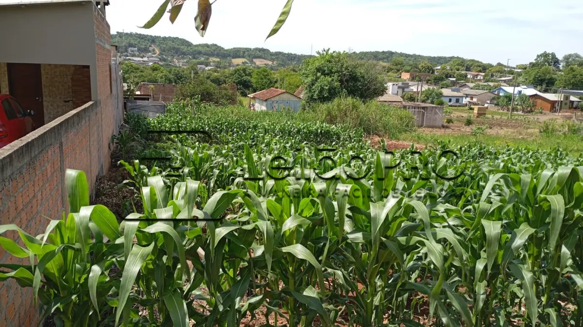 LOTE 008 - Terreno urbano, lote n° 09, quadra n° 94, com área de 1.034,98m², matrícula 5.336 à Rua Vereador Francisco Xavier Nilles, Centro de São Paulo das Missões.