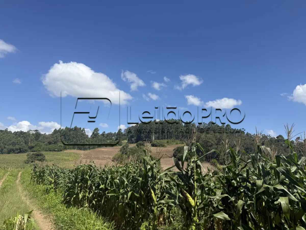 LOTE 001 - Uma fração de terras, localizado na Bandeirinha (7º distrito de Camaquã), com a área superficial de 110.547,00m2