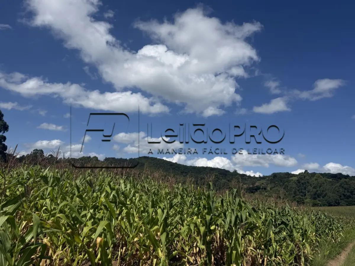 LOTE 001 - Uma fração de terras, localizado na Bandeirinha (7º distrito de Camaquã), com a área superficial de 110.547,00m2