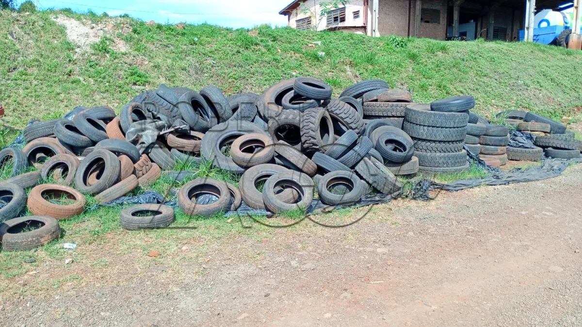 LOTE 010 - Pneus – diversas bitolas.