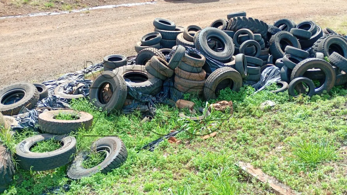 LOTE 010 - Pneus – diversas bitolas.