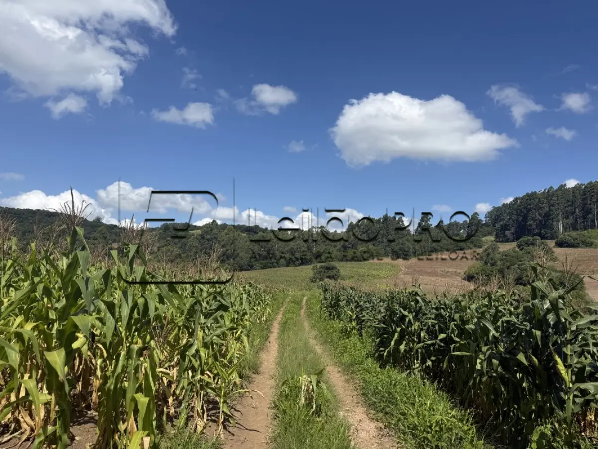 LOTE 001 - Uma fração de terras, localizado na Bandeirinha (7º distrito de Camaquã), com a área superficial de 110.547,00m2