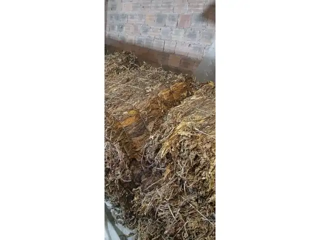 824 Kg de FUMO (tipo CR1)