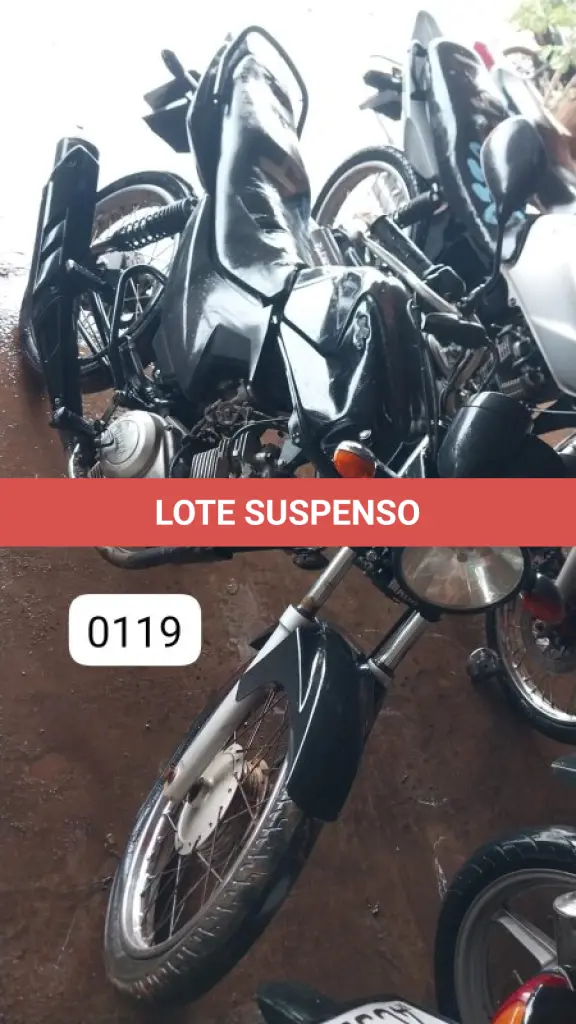 LOTE 0119