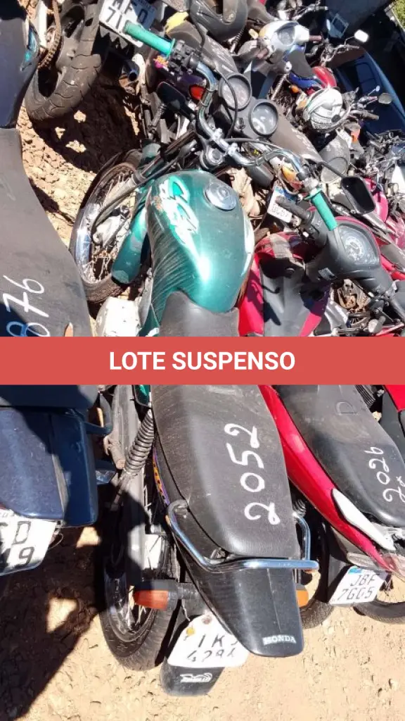 LOTE 0242