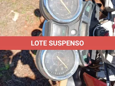 LOTE 0240 - 0240