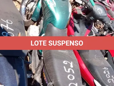 LOTE 0242 - 0242