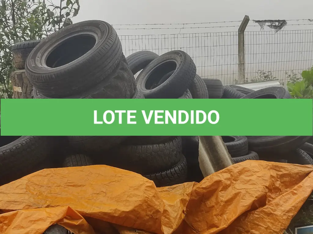 LOTE 007
