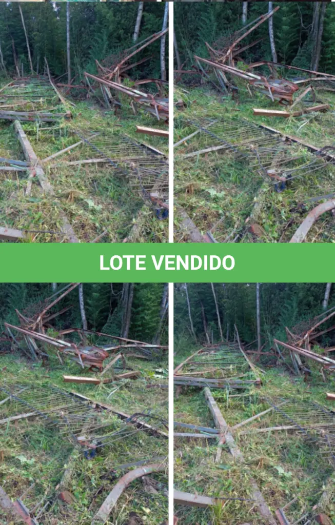 LOTE 019