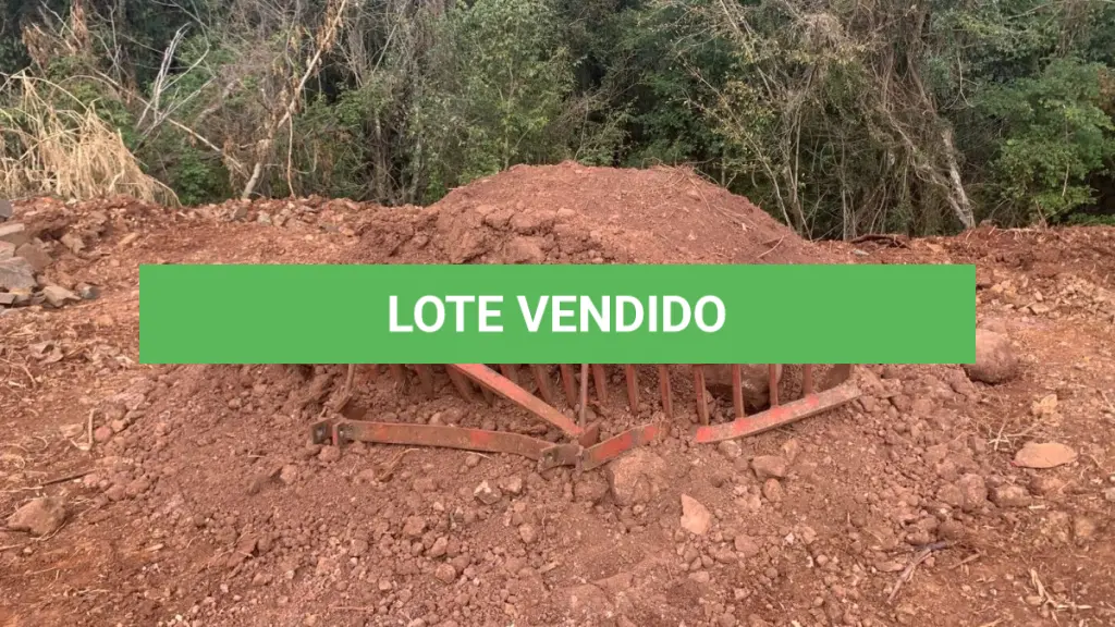 LOTE 010