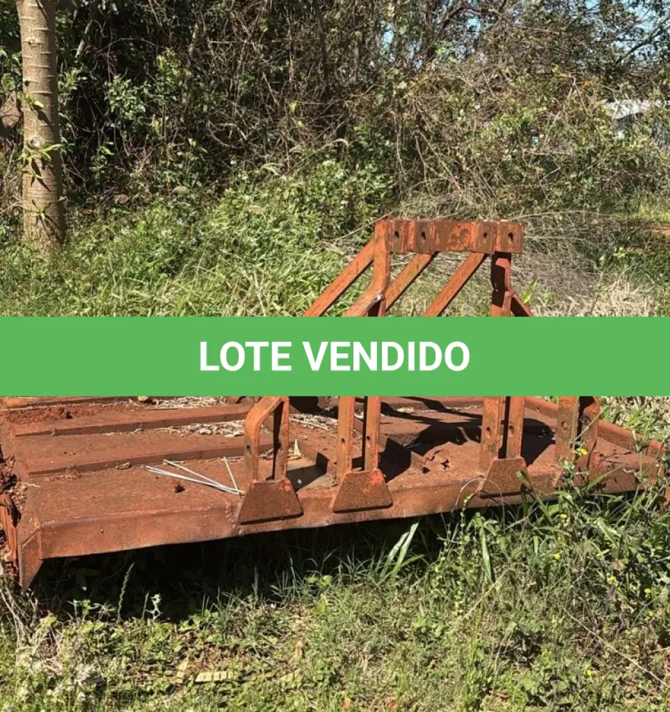 LOTE 007