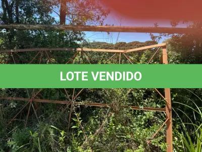LOTE 005 - Lote de Sucata diversas contendo eletrônicos, mobiliários e ferros.