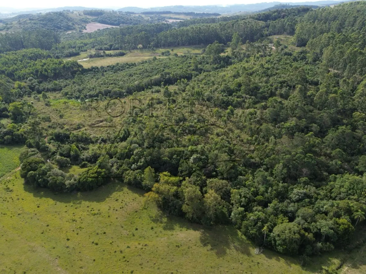 LOTE 001 - Imóvel - uma fração de terras próprias para lavoura de 11,9239 hectares de área superficial, sem benfeitorias, localizada dentro de uma área maior de 47,07 hectares na localidade denominada de distrito Palanque