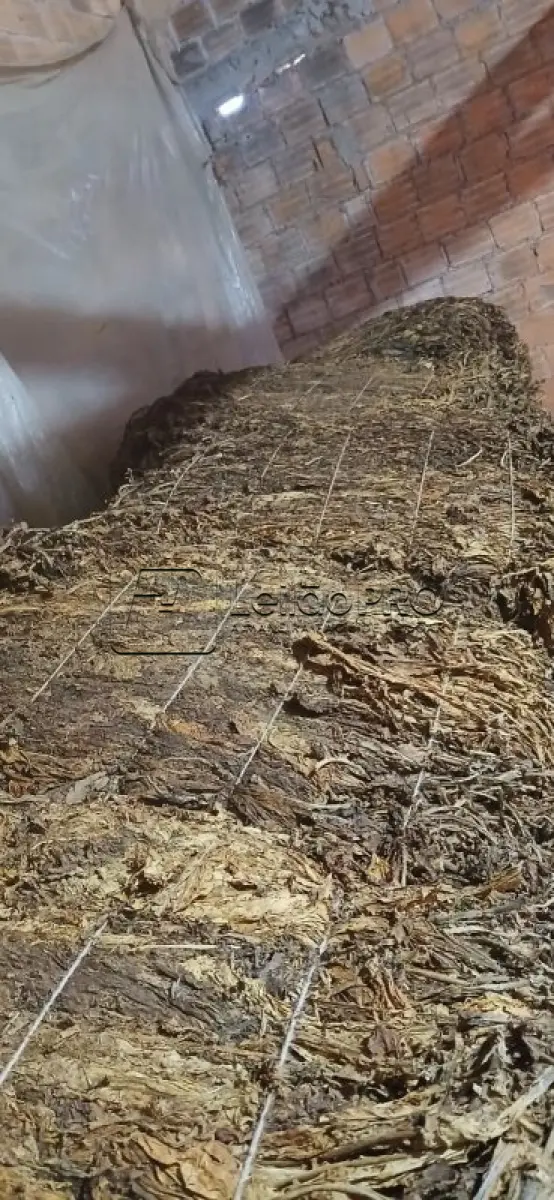 LOTE 001 - 824 Kg de FUMO (tipo CR1)