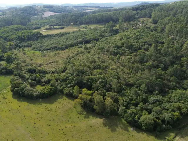Imóvel - uma fração de terras próprias para lavoura de 11,9239 hectares de área superficial, sem benfeitorias, localizada dentro de uma área maior de 47,07 hectares no  distrito Palanque em Camaquã/RS