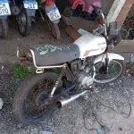 Foto 39