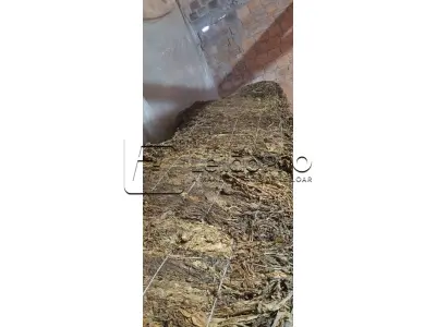 LOTE 001 - 824 Kg de FUMO (tipo CR1)