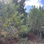 LOTE 003 - TERRENO URBANO de 420,00 m2, Rua Serrana Matrícula nº 13.130 do Registro de Imóveis de Panambi
