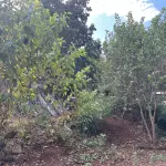 LOTE 003 - TERRENO URBANO de 420,00 m2, Rua Serrana Matrícula nº 13.130 do Registro de Imóveis de Panambi