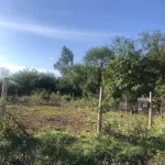 LOTE 004 - Parte do Terreno Foreiro nº 192 com 1296,00m2