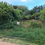 LOTE 003 - Imóvel - Lote urbano número vinte e cinco (25), na quadra número122 sem benfeitorias, na Rua Amaral Ferrador, na cidade de Cristal-RS