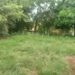 LOTE 006 - Terreno com 273,49m2