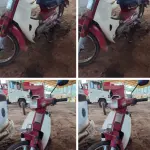 LOTE 006 - Motocicleta Honda Dream C100 – cor vermelha, ano, modelo 1994.
