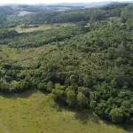 LOTE 001 - Imóvel - uma fração de terras próprias para lavoura de 11,9239 hectares de área superficial, sem benfeitorias, localizada dentro de uma área maior de 47,07 hectares na localidade denominada de distrito Palanque