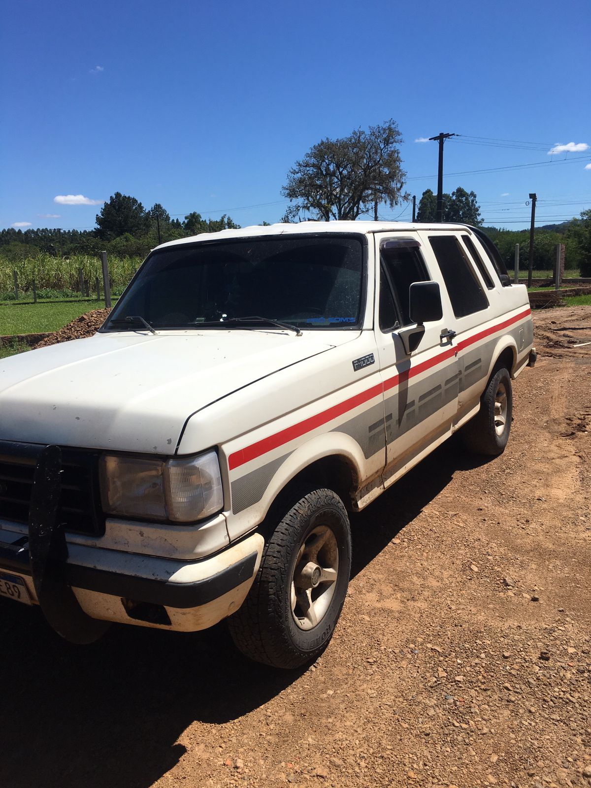 VEÍCULO FORD F1000 SS, Cor Branca, Ano/Modelo 1992/1993
