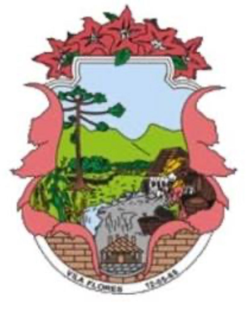 Leilão da Prefeitura de Vila Flores/RS: Caminhões, Motoniveladora e Sucatas.