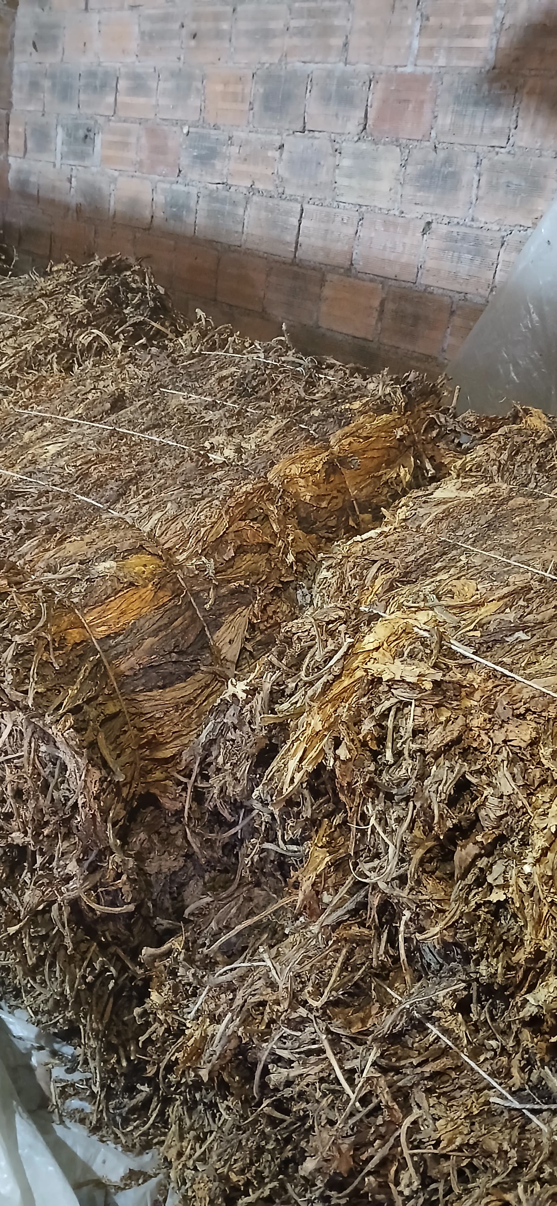 824 Kg de FUMO (tipo CR1)